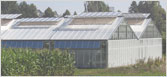 temperature-monitoring-system-supplier-in-Canada-greenhouse nurseries thermonitor